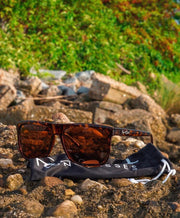 Tortoise Brown Polarized Flatliners Amber Lens
