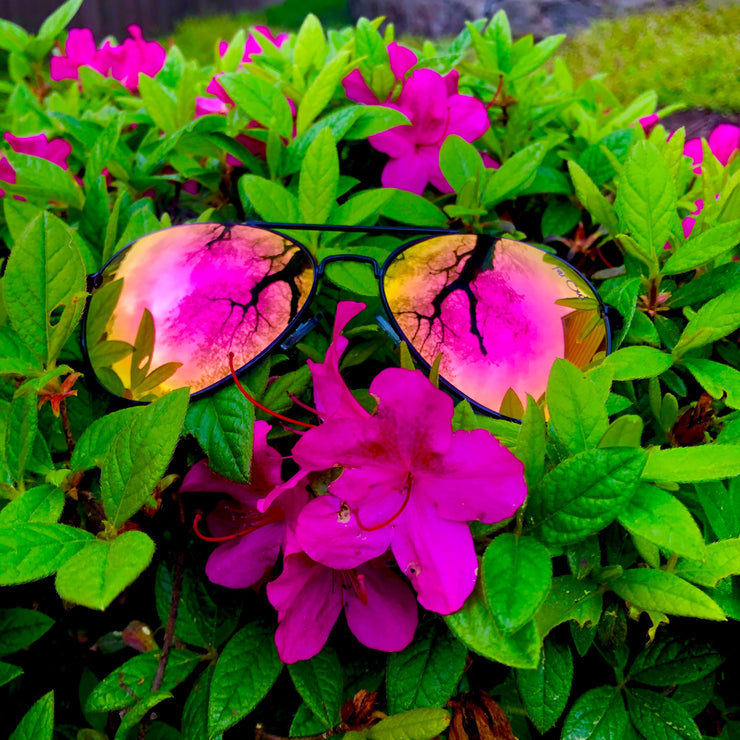 Pink Lens Aviators