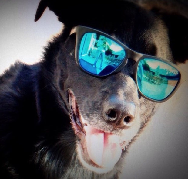Black Premiums Light Blue Lens